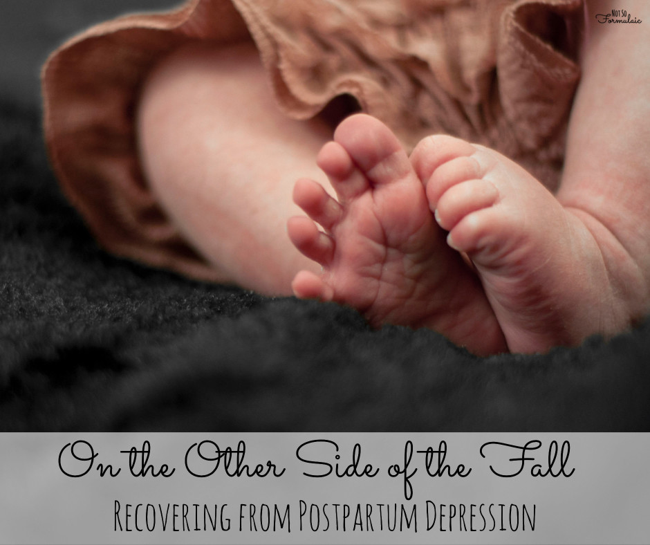 Ppd - Postpartum Depression And Recovery: My Journey To The Other Side Of The Fall - Gifted/2e Parenting