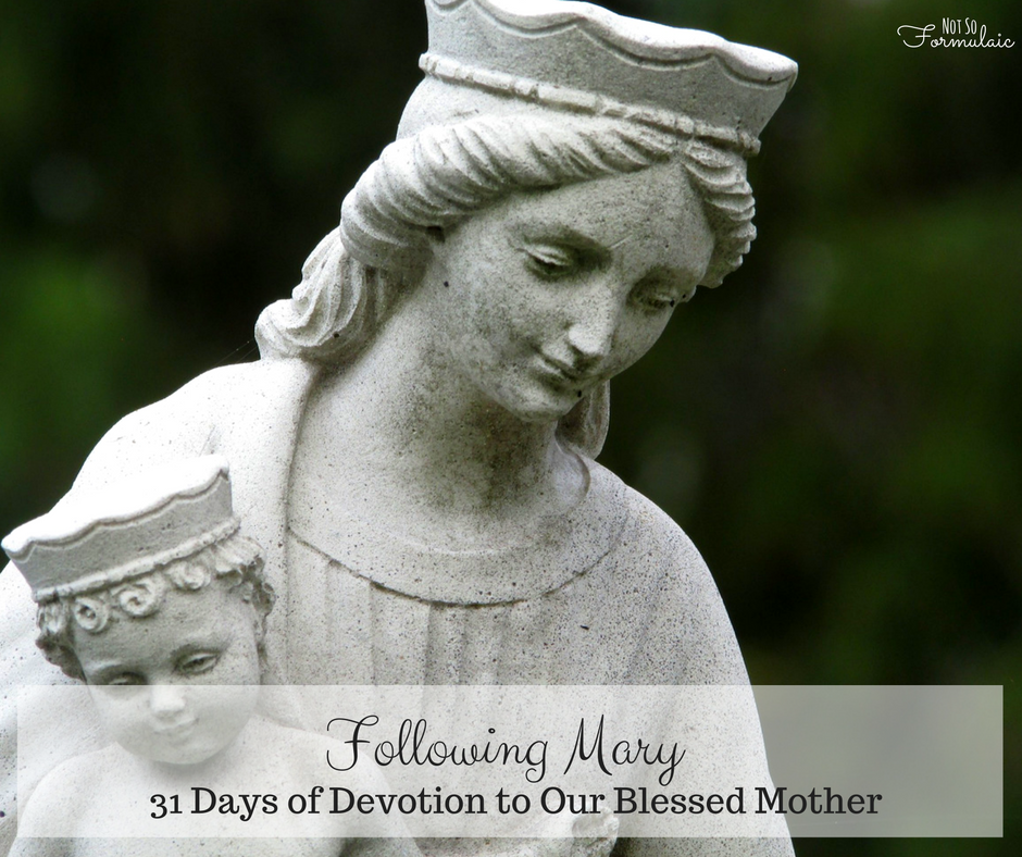 Following Mary Facebook - Following Mary:  31 Days Of Devotion To Our Blessed Mother
