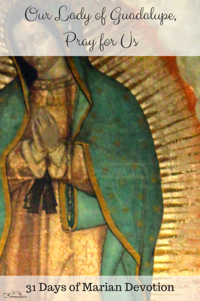 Our Lady Of Guadalupe 31 Days Of Devotion To Our Blessed Mother - Catholic Motherhood