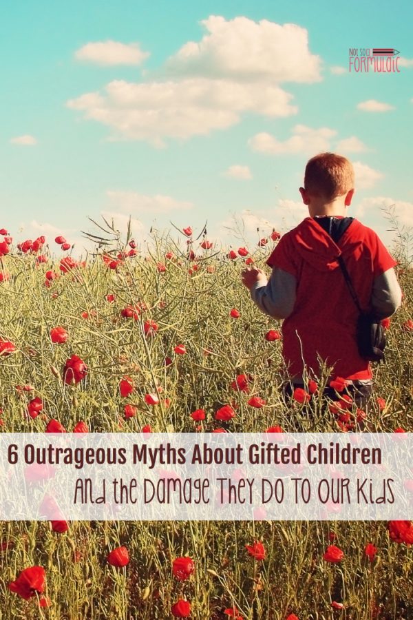 High achieving. Well adjusted. Free from disabilities - the list goes on and on. These 6 common myths about gifted children have far-reaching consequences. It's up to us parents and educators to advocate for the truth. 