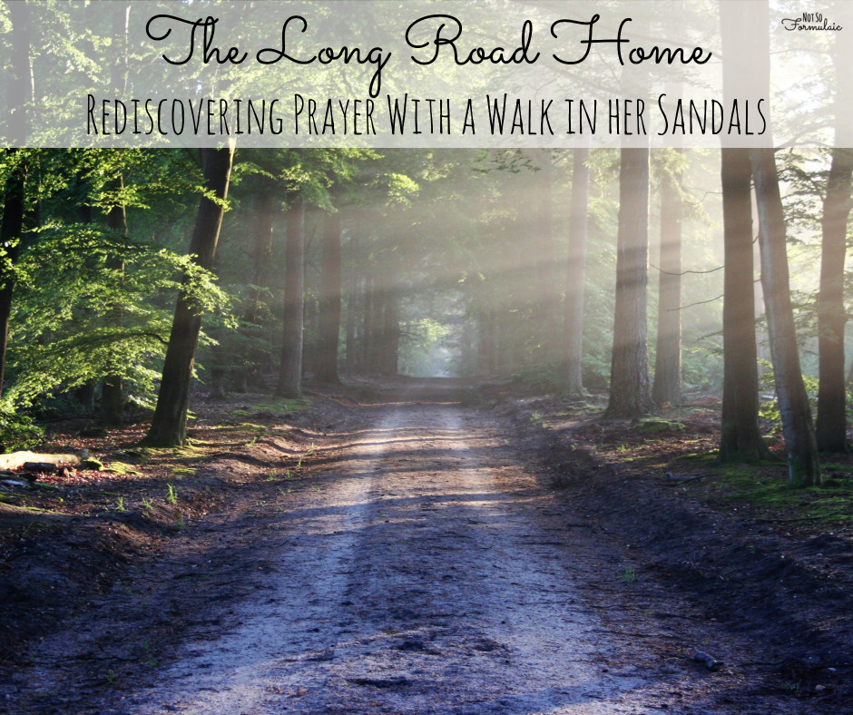 Rediscovering Prayer - The Long Road Home: Rediscovering Prayer With A Walk In Her Sandals - Gifted/2e Faith Formation