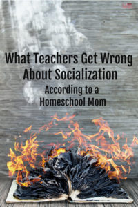 I Don 039 T Love Homeschooling But I Love My Children So I Do It Anyway