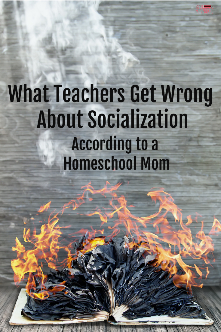 Socializationpossibility - What Teachers Get Wrong About Socialization, According To A Homeschool Mom - Gifted/2e Education