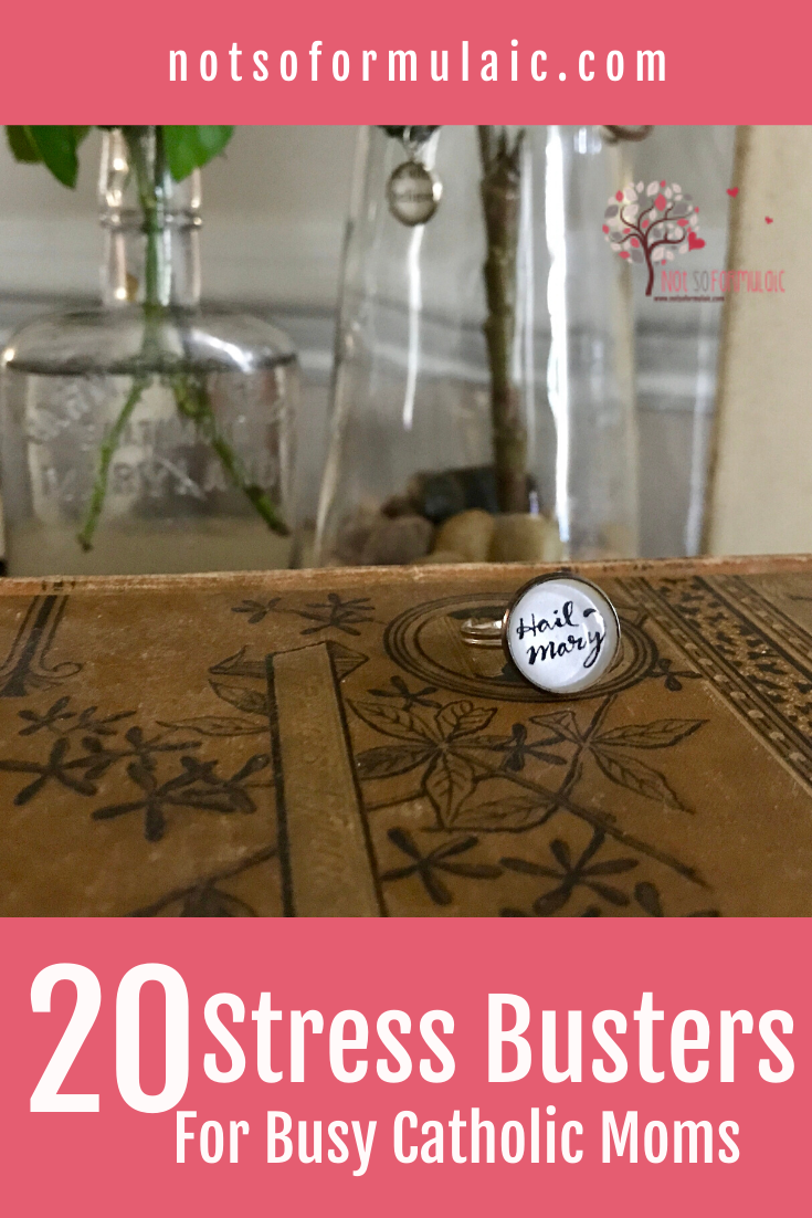 20 Stress Busters For Catholic Moms - Let There Be Order: 20 Guaranteed Stress Busters For Busy Catholic Moms - Gifted/2e Parenting