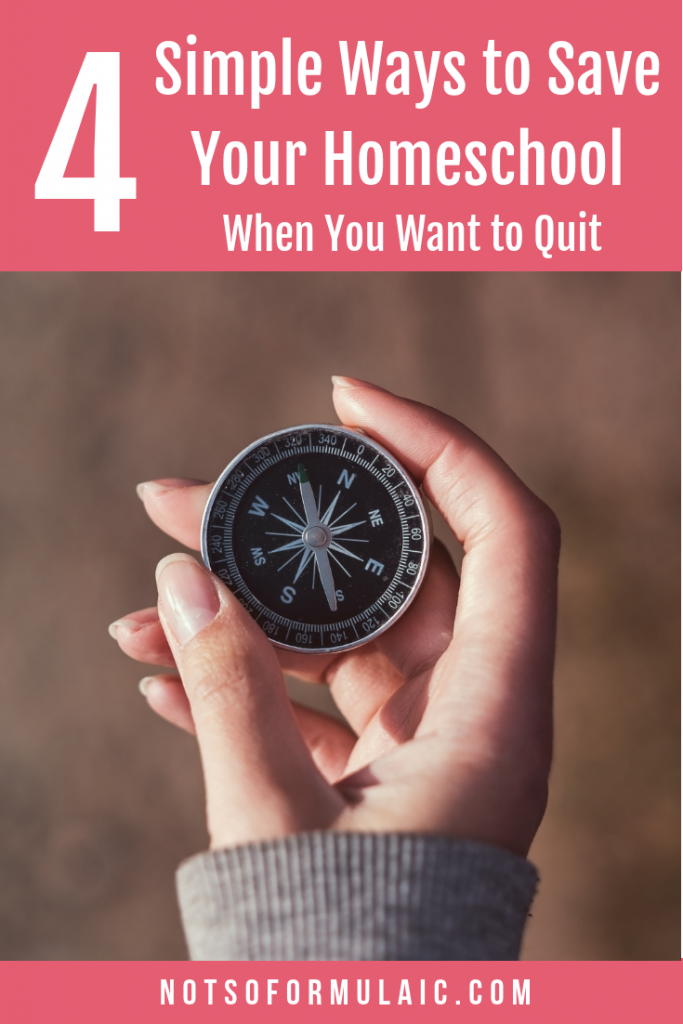 How To Save Your Homeschool When You Feel Like You Want To Quit - Gifted/2e Education