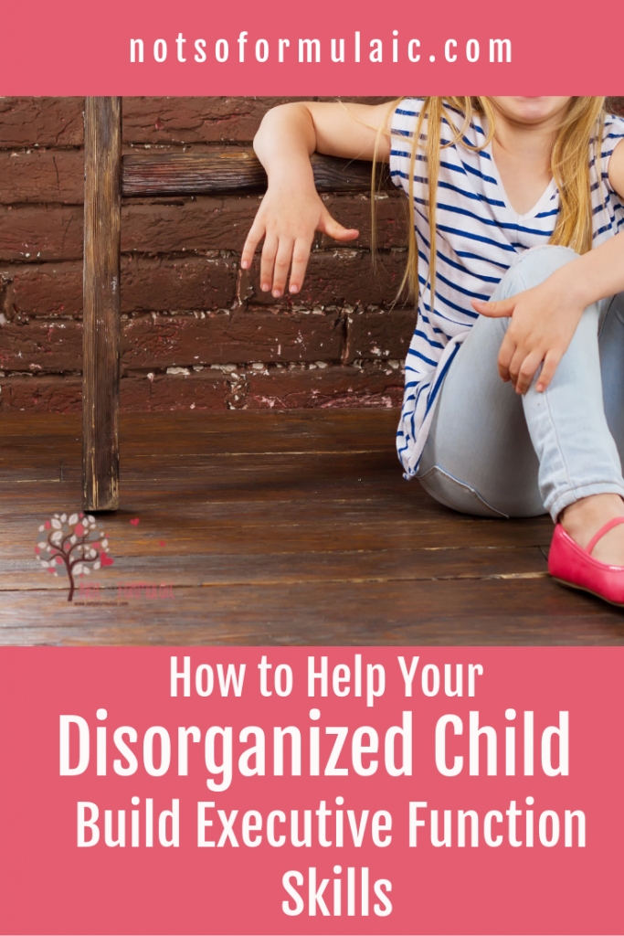 Impulsive Disorganized Kids Aren 039 T Broken They Need Help With Executive Function Skills - Gifted/2e Parenting