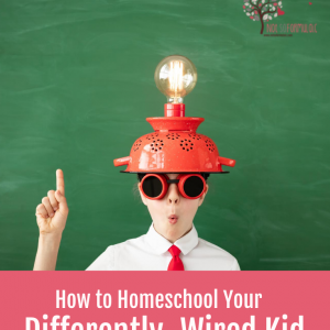Homeschool Course Bundle - Homeschool Schedules And Curriculum For Twice-exceptional Families
