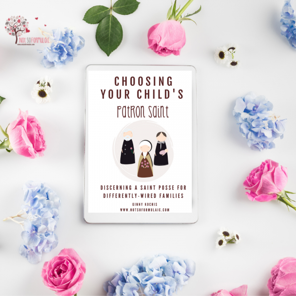 Choosing Your Child 039 S Patron Saint Family Toolkit Volume 1