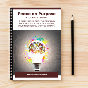 Peace On Purpose Student Edition Catholic Executive Function Workbook